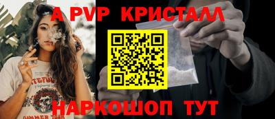твердый Сланцы