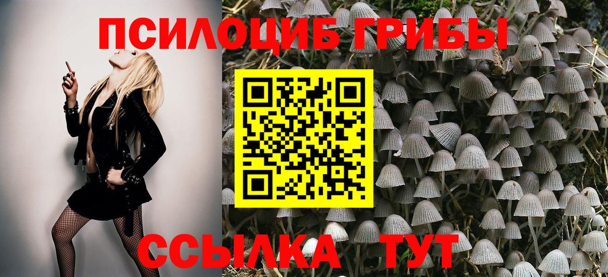 Новокубанск  Псилоцибиновые грибы MAGIC MUSHROOMS  Вход с VPN 
